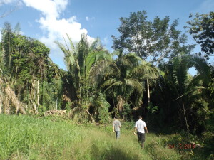 Área vistoriada com fragmento florestal e pastagem